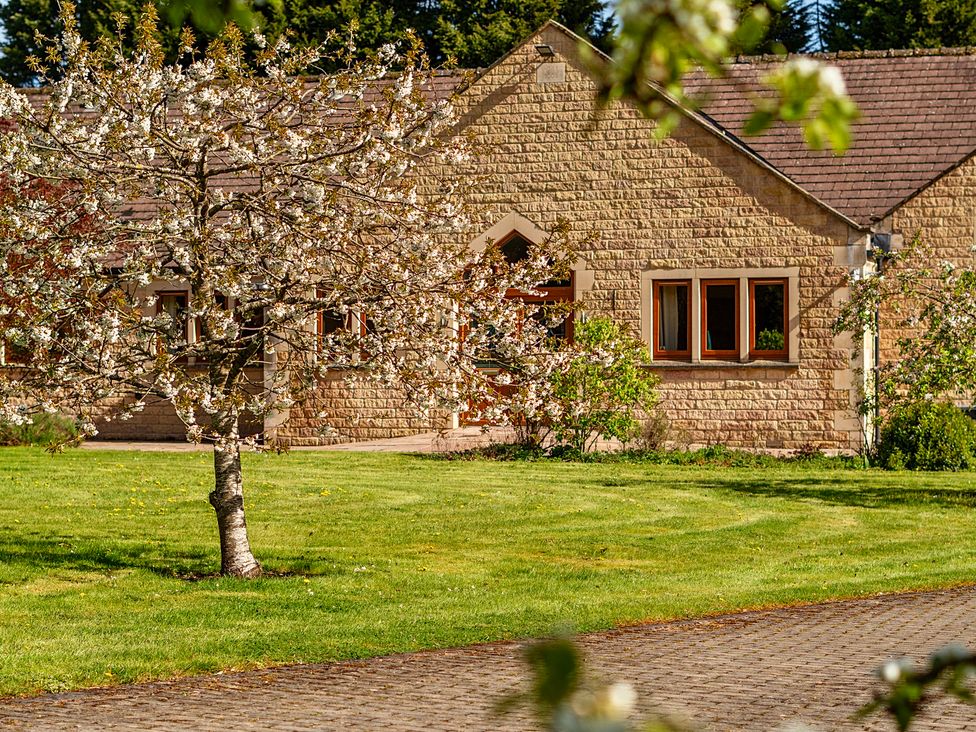 A building with windows and a tree in front at Manor House in Chesterfield