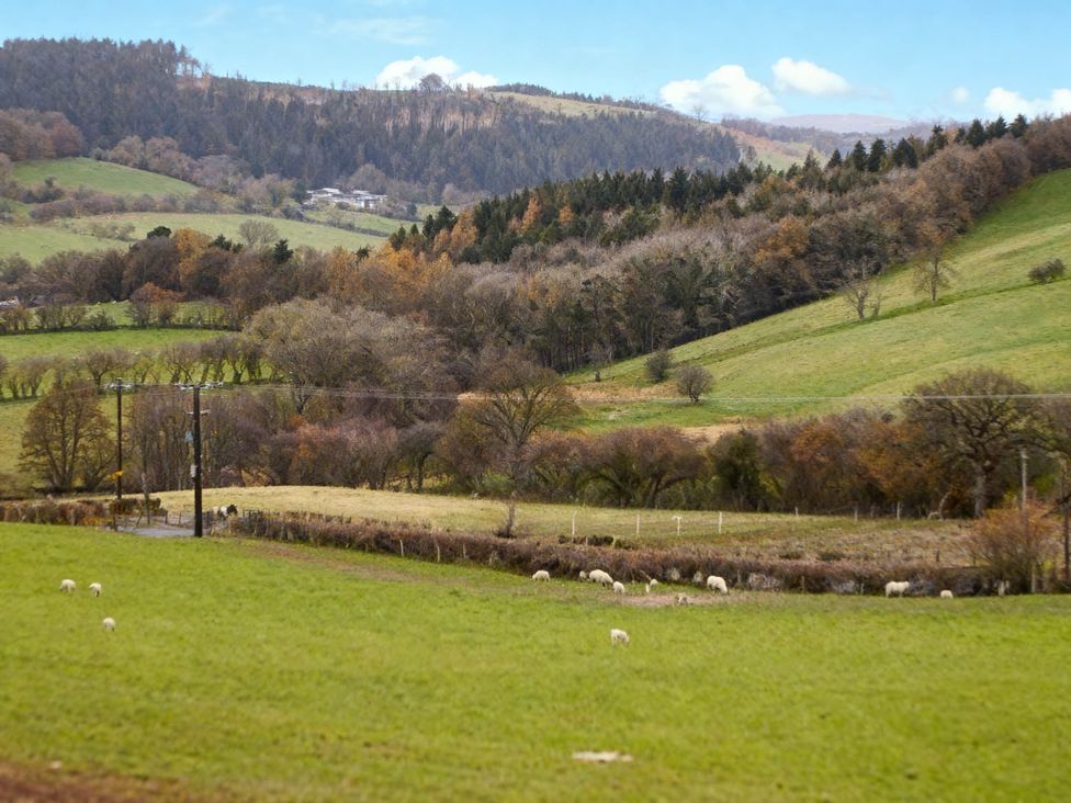 A landscape with sheep grazing in a field and hills in the background at Tyn Y Celyn Canol Clocaenog near Ruthin