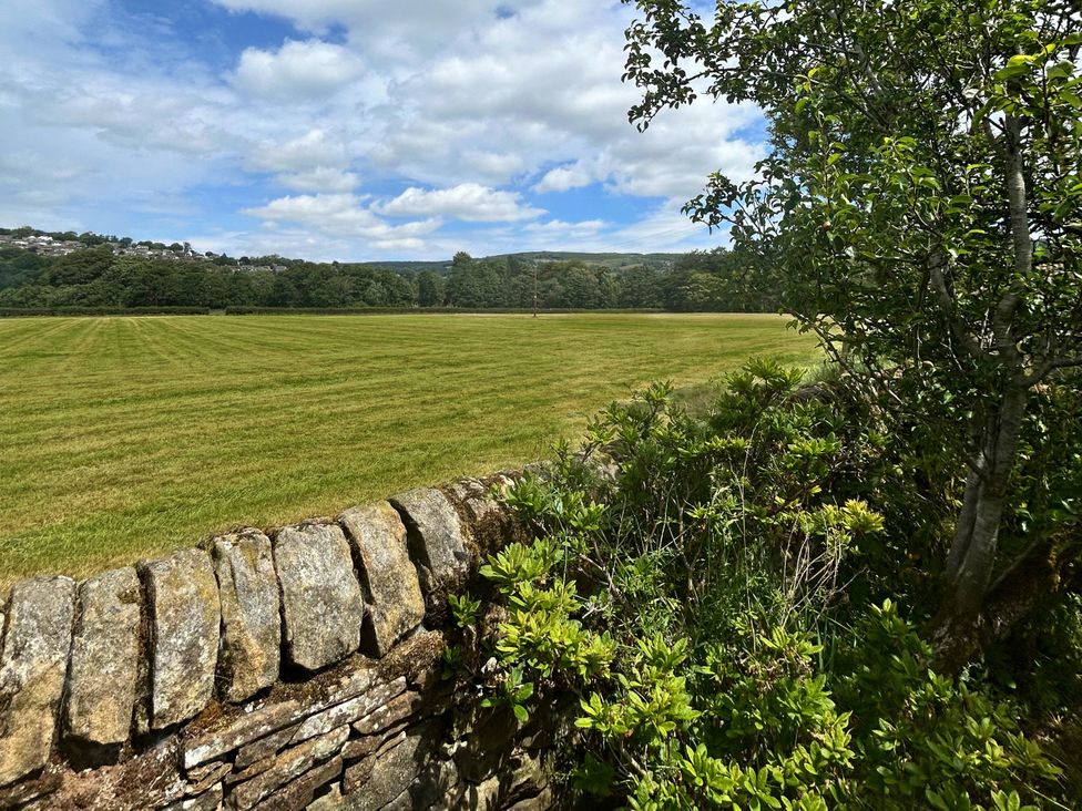 A field with a stone wall and trees at Broadhay Offerton near Hathersage
