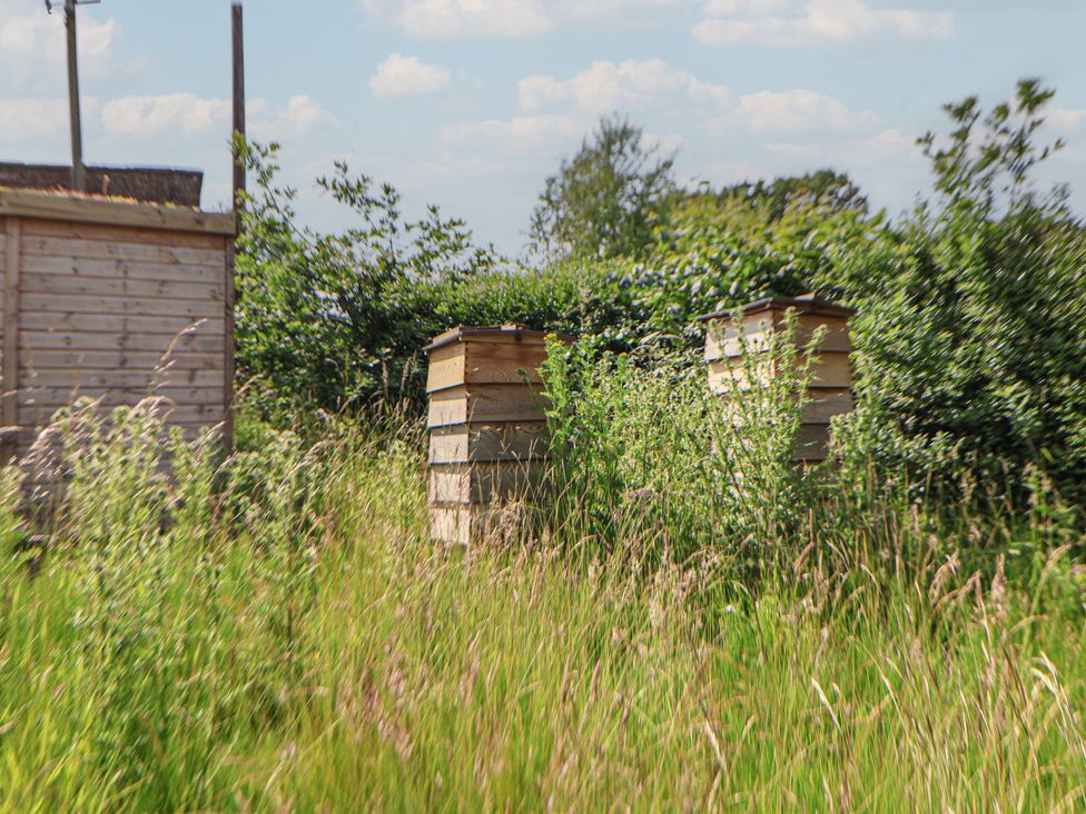Bee hives surrounded by grass at Butler's Flat Cefn Park