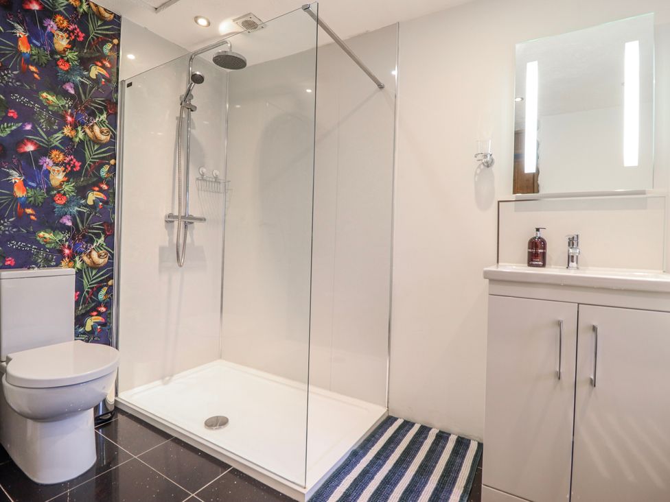 A bathroom with a shower, toilet, and vanity at Dovetail Cottage in Llangollen