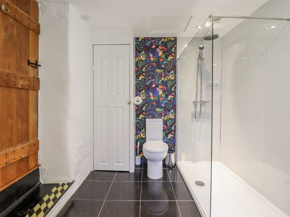 A bathroom with a shower and toilet at Dovetail Cottage in Llangollen
