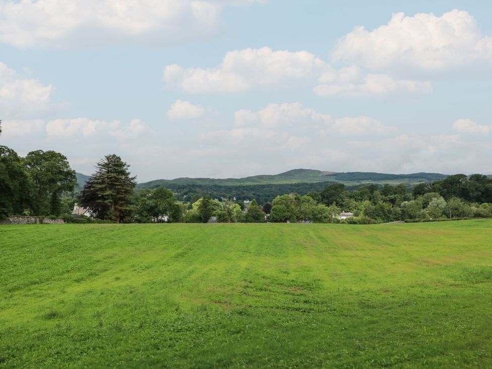 A grassy field with trees and hills in the distance at 79 Laurel Bank Gatehouse of Fleet