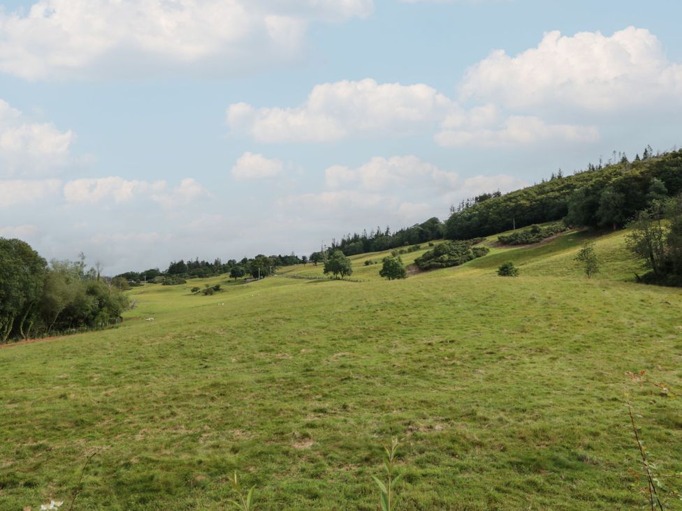 A grassy landscape with trees and clouds at 79 Laurel Bank in Gatehouse of Fleet