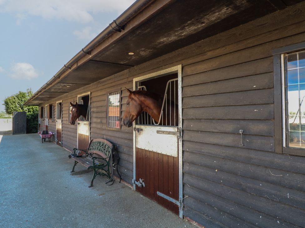 A stable with horses looking out from their stalls at Snowy Owl Barn in Shipdham