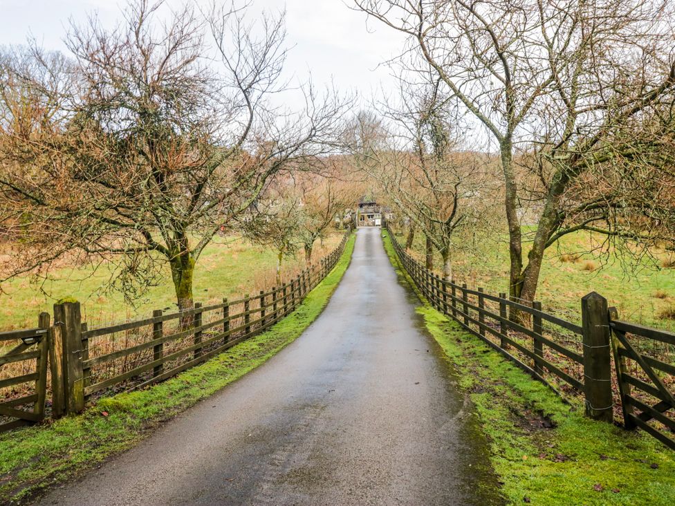 A driveway lined with trees and fence leading to a house at Jubilee in Graythwaite near Hawkshead