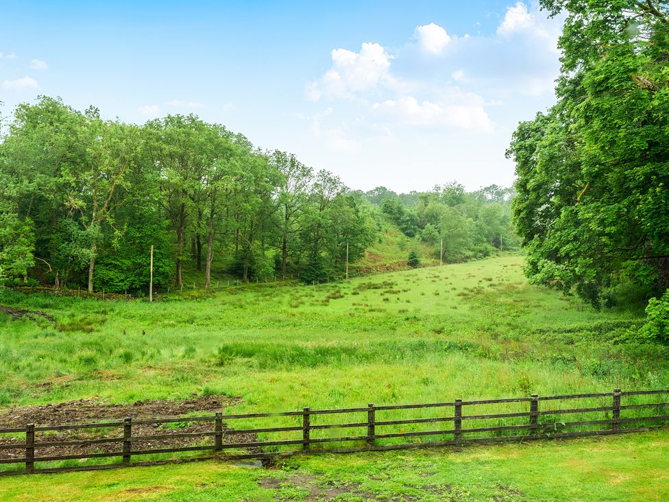 An outdoor field with trees and a fence at Jubilee at the Graythwaite Estate Graythwaite near Hawkshead