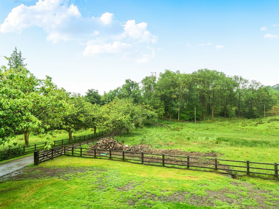 A rural outdoor scene with trees and a fence at Jubilee at the Graythwaite Estate in Graythwaite near Hawkshead