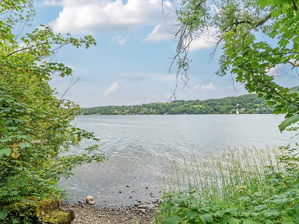 A view of a lake surrounded by trees and vegetation at Hammerhole at the Graythwaite Estate near Hawkshead
