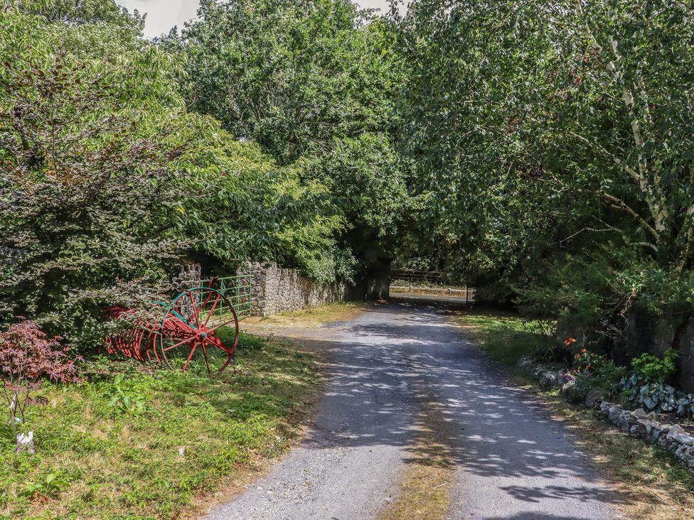 A pathway lined with trees and a red wheel at Mrs Delaney's Loft in Ardfinnan near Clonmel, County Tipperary