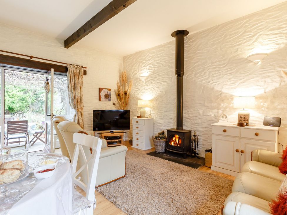 A living room with a television and fireplace at Wagtail Cottage East Taphouse