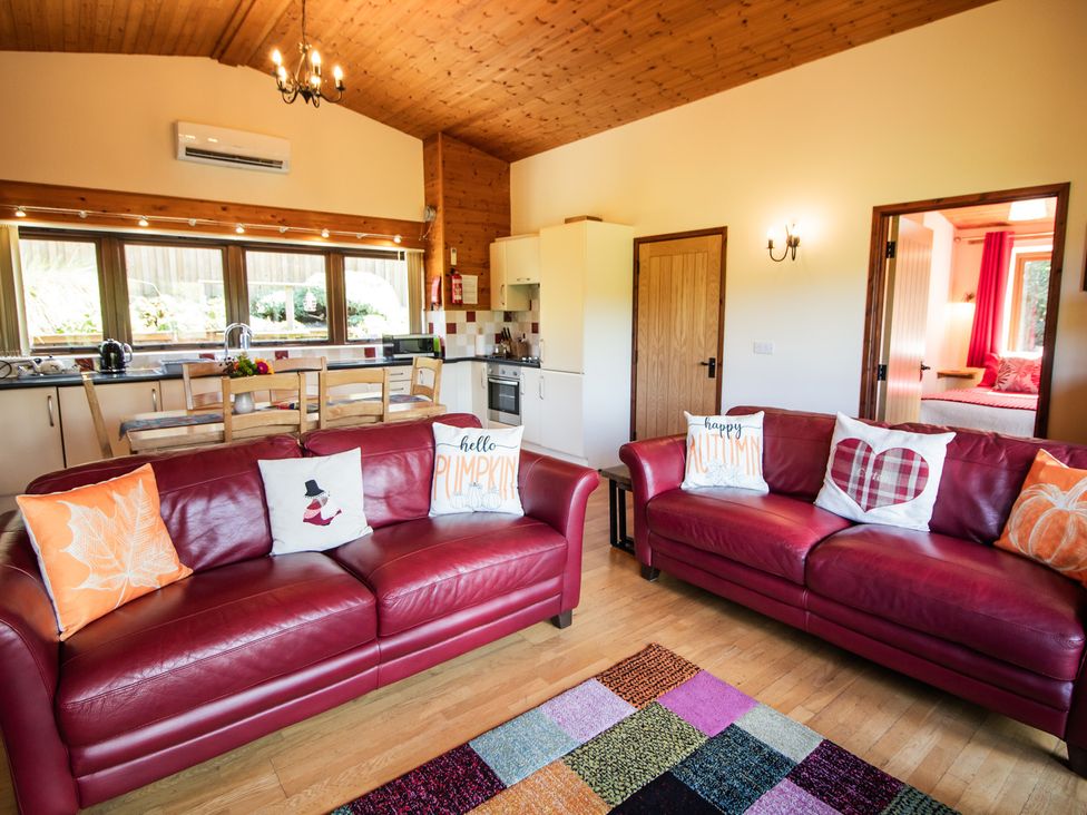 A living room with a sofa and kitchen area at Sycamore Lodge Nantmel near Rhayader