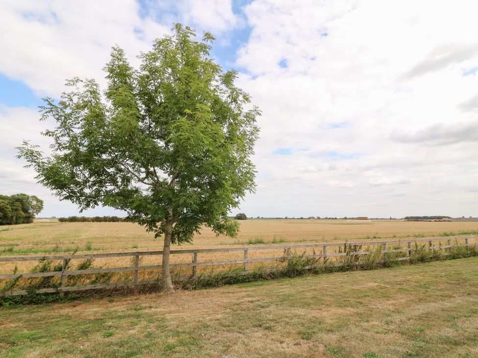 A tree next to a fence with a field in the background at Jake's Cottage in Langrick near Boston