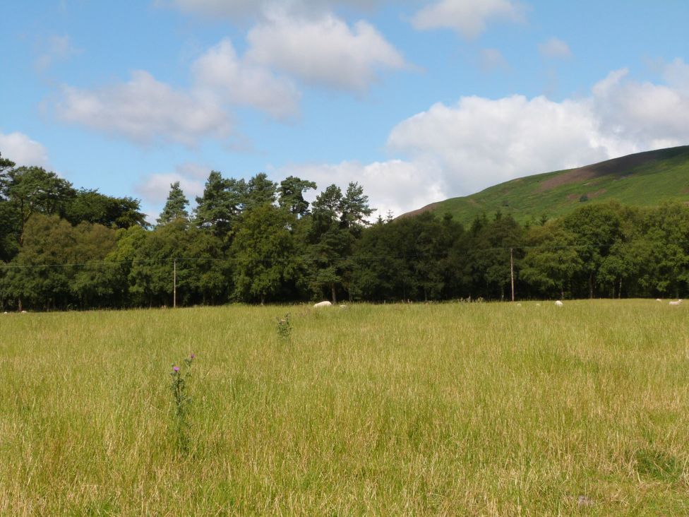A field with grass and trees at Penymaes Bronygarth near Chirk