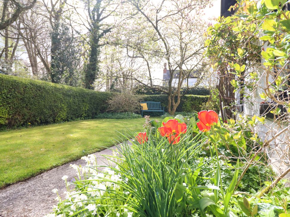 A garden with flowers and a bench at Penymaes Bronygarth near Chirk