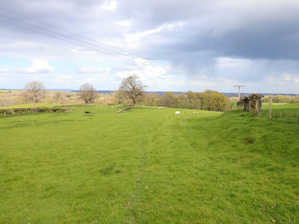 An outdoor area with grass and trees at Penymaes near Bronygarth