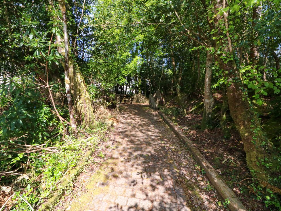 A pathway surrounded by trees and shrubs at No. 4 Lansdowne Village, Kenmare, The Ring of Kerry, County Kerry