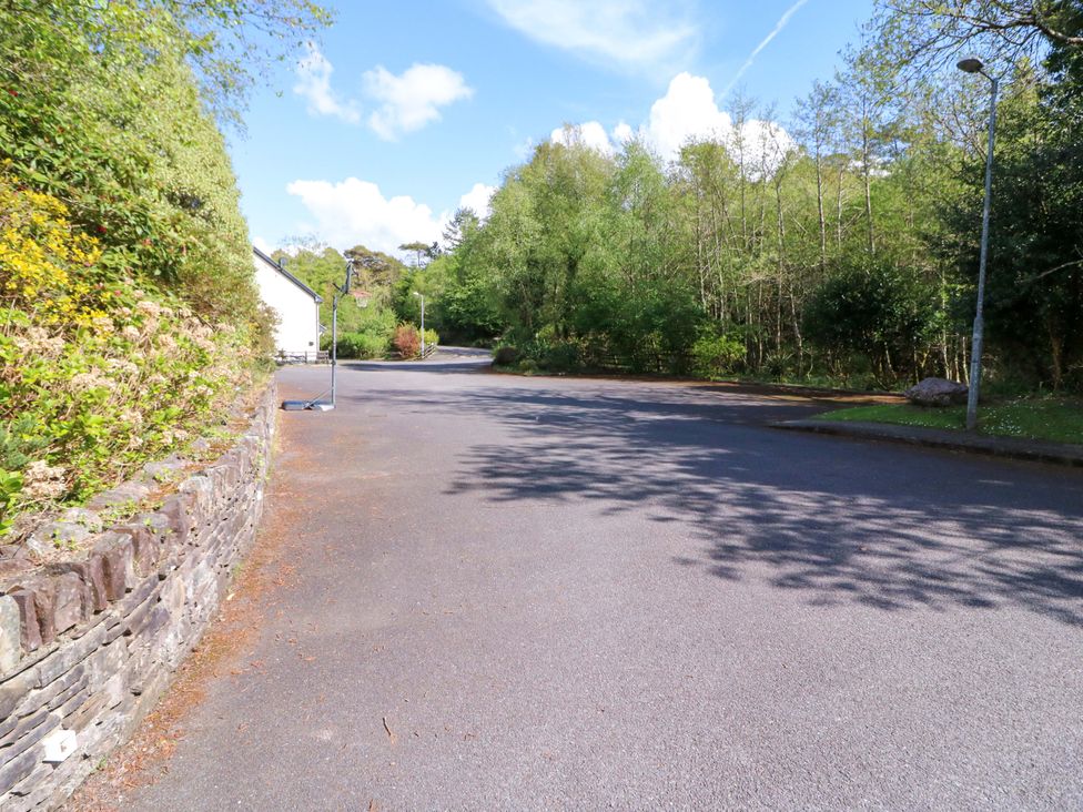 A road surrounded by trees and a house at No. 4 Lansdowne Village Kenmare, The Ring of Kerry, County Kerry