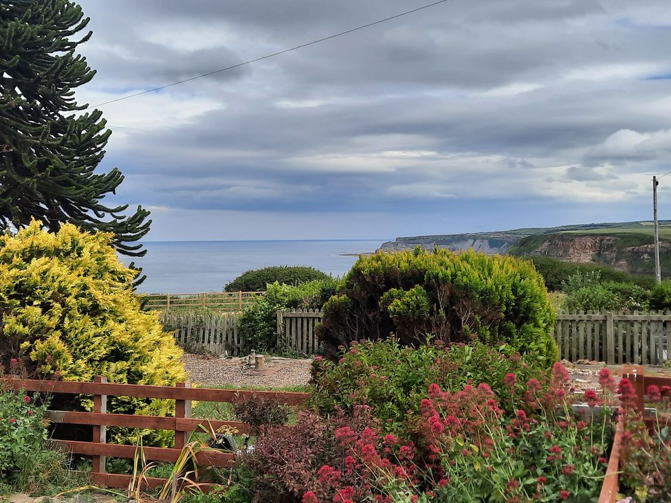 A coastal view with cliffs and garden plants at 4 Cliff Cottages 
