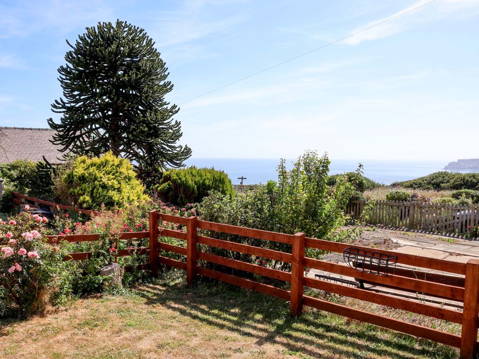 A garden with a wooden fence and trees at 4 Cliff Cottages in Port Mulgrave near Staithes