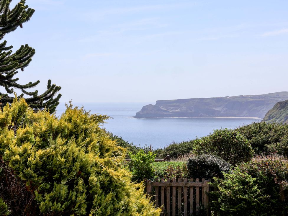 A coastal view with cliffs and vegetation at 4 Cliff Cottages in Port Mulgrave near Staithes