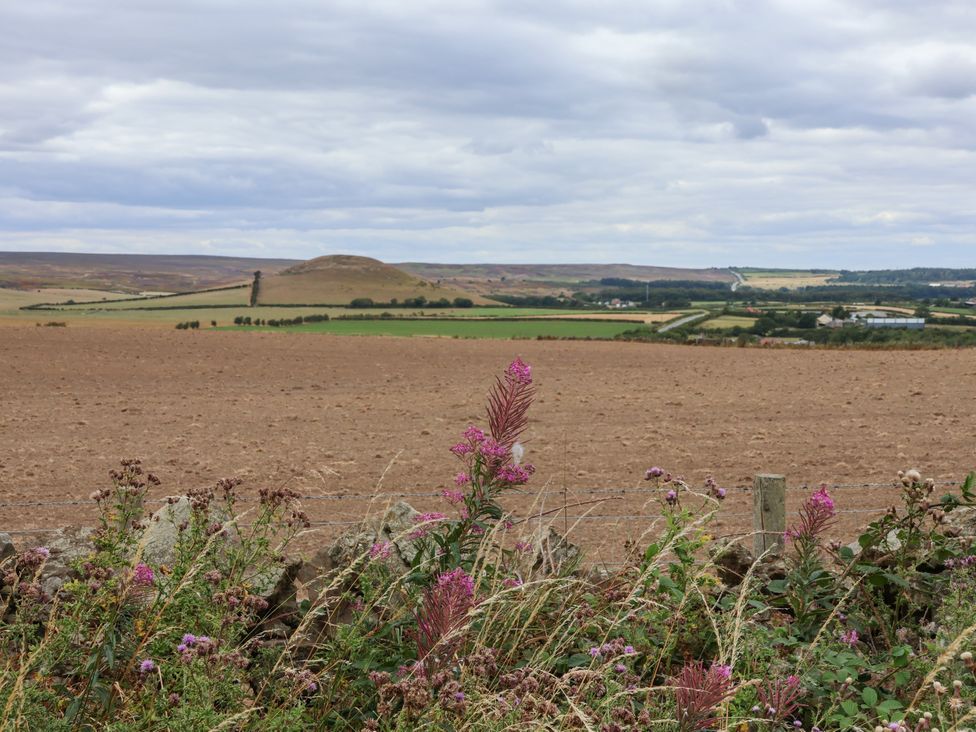 A view of a field with flowers and a hill at Beacon in Gerrick near Moorsholm