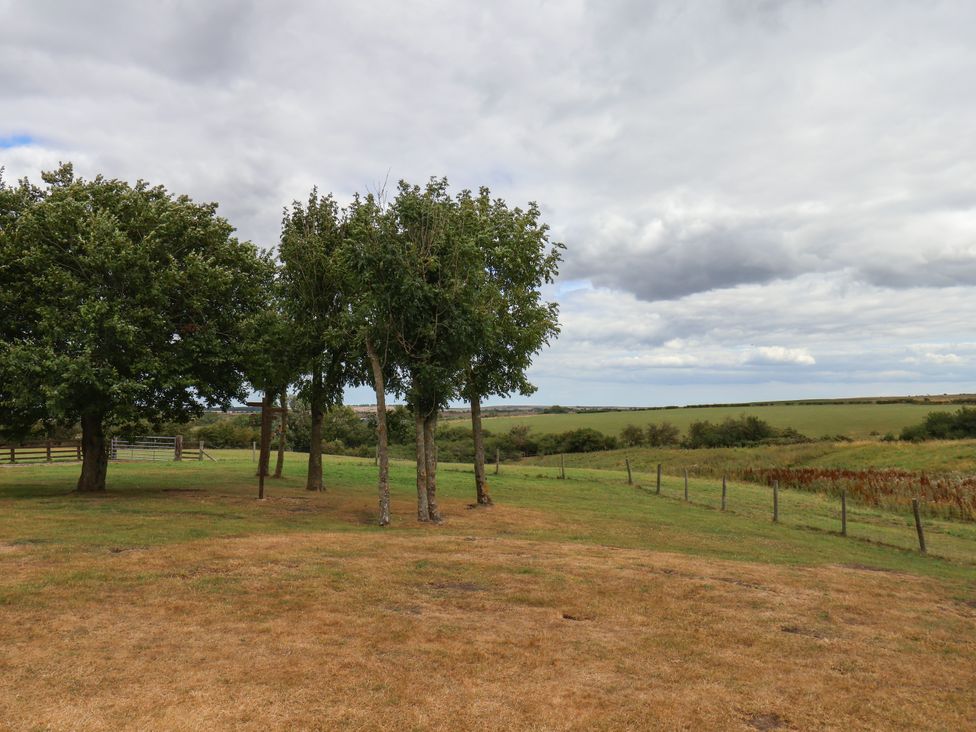 A landscape with trees and grass at Beacon in Gerrick near Moorsholm