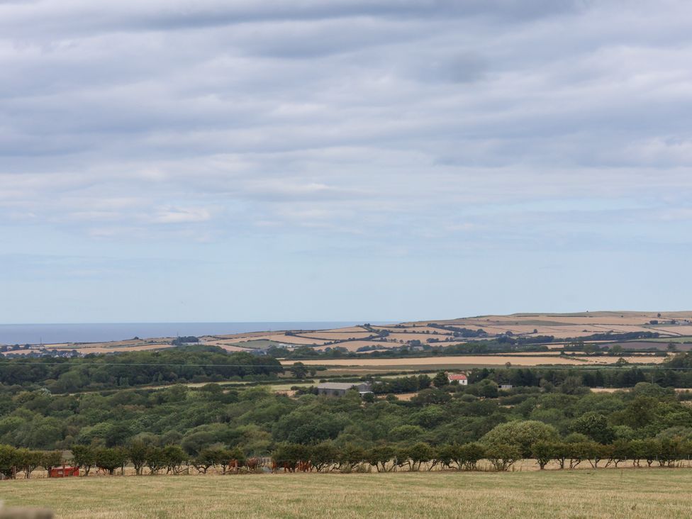 A landscape view with fields, trees, and ocean at Blakey, Gerrick near Moorsholm