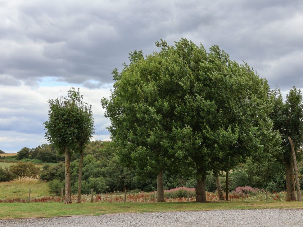 Two trees and a field with clouds at Blakey Gerrick near Moorsholm