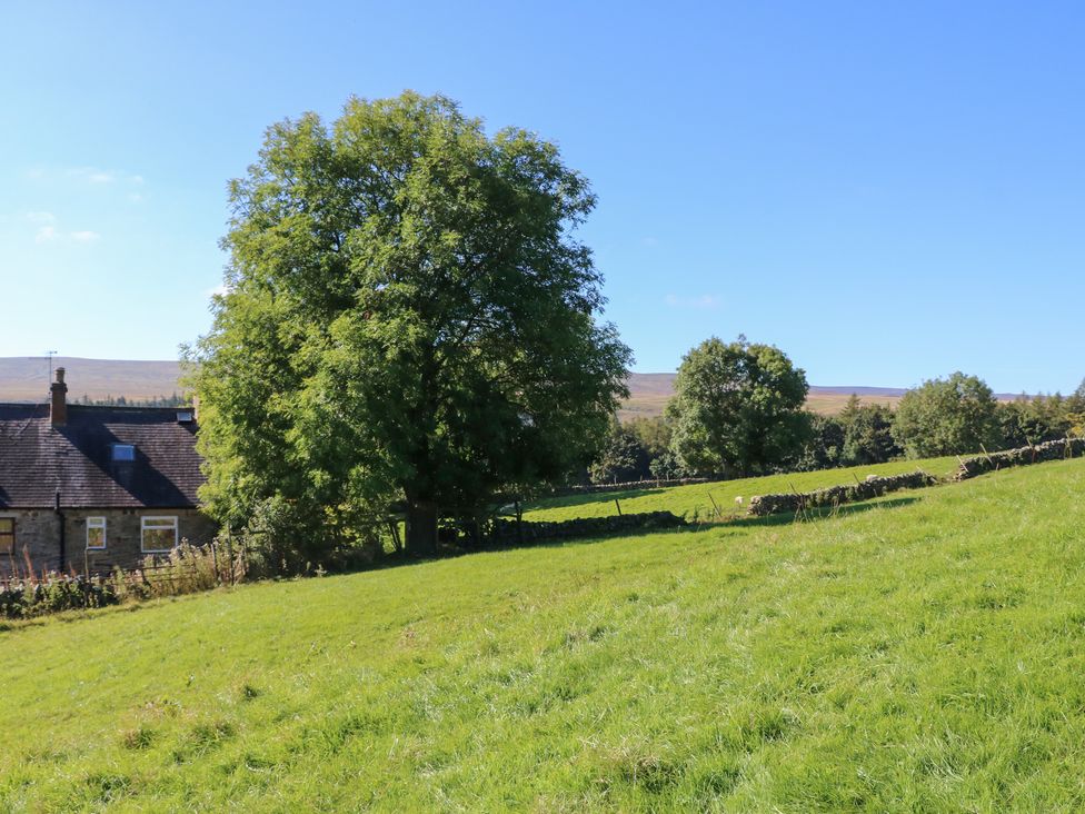 Hoodgill Barn - Yorkshire Dales - 922717 - thumbnail photo 35