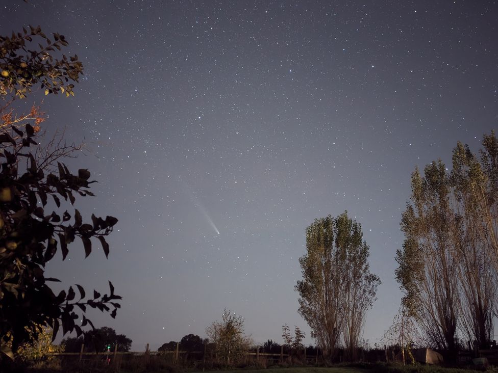 A night sky with stars and a comet visible behind trees at Cointree in Sturminster Newton