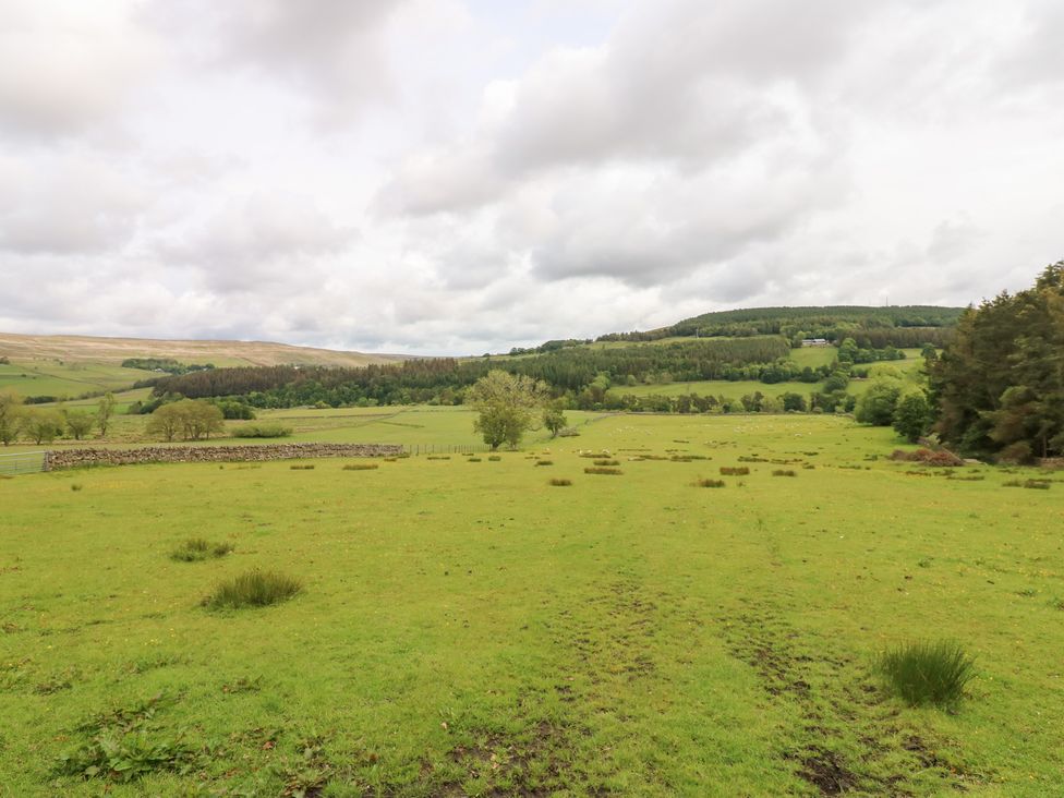 A field with grass and trees at The Hayloft in Alston
