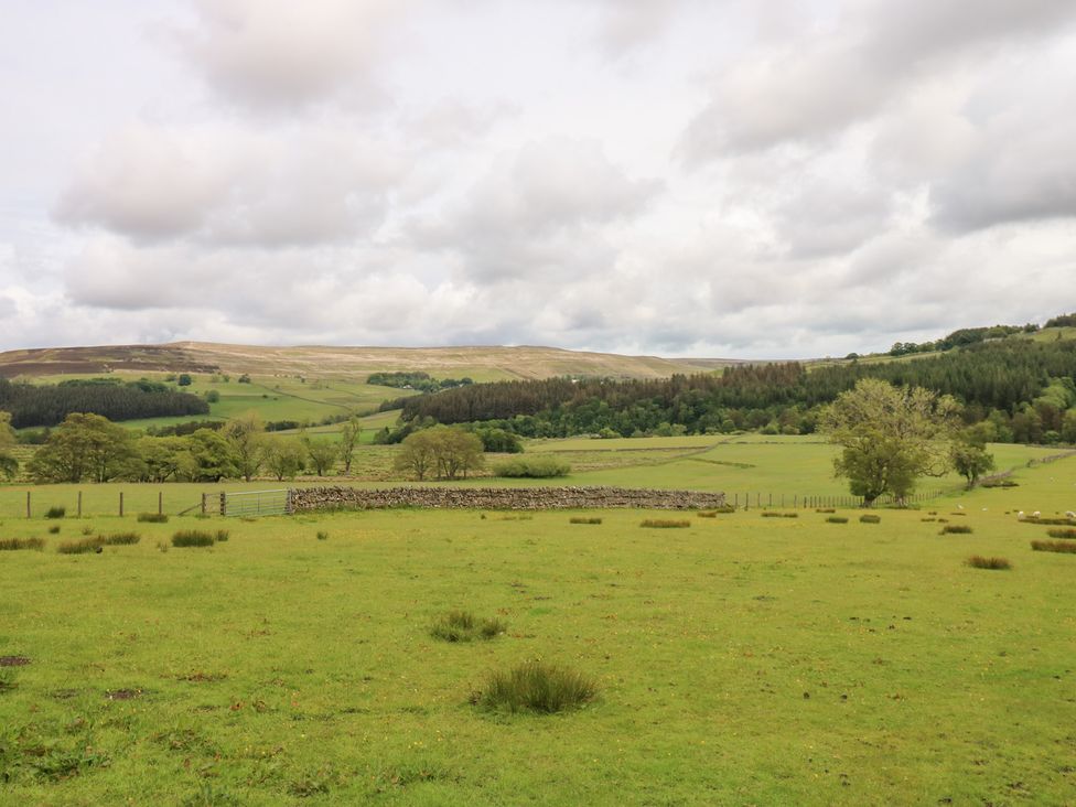 A field with grass and trees with hills in the background at The Hayloft in Alston
