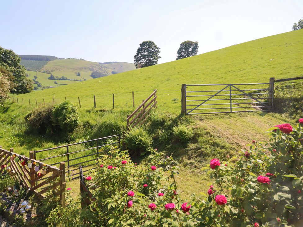 A landscape view with a gate and fence at Peniarth in Penybontfawr near Oswestry