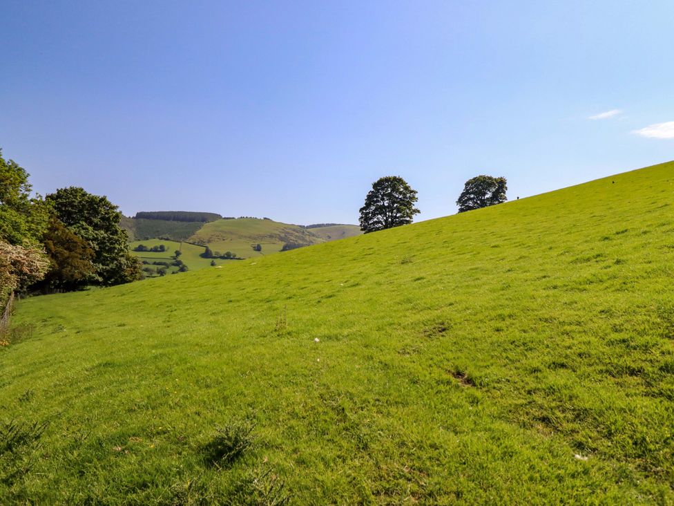 A grassy field with trees and hills at Peniarth, Penybonfawr near Oswestry