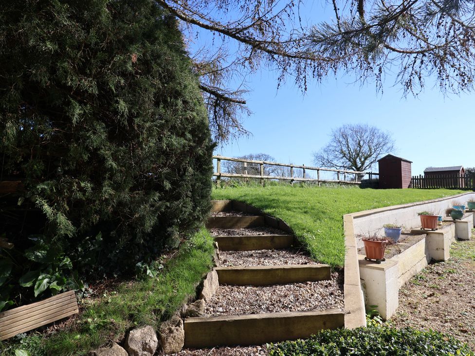 A garden with steps leading to a fence and a shed at The Old Smithy Dottery near Bridport
