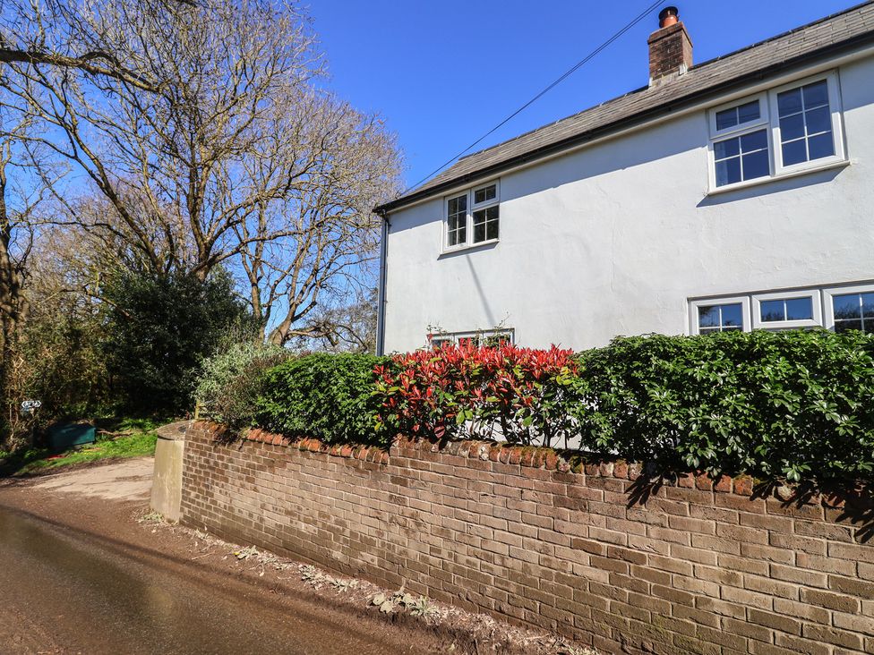 A house with windows and a brick wall surrounded by bushes at The Old Smithy Dottery near Bridport