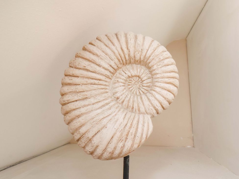 A fossil ammonite displayed on a stand at Heather Croft, Robin Hood's Bay