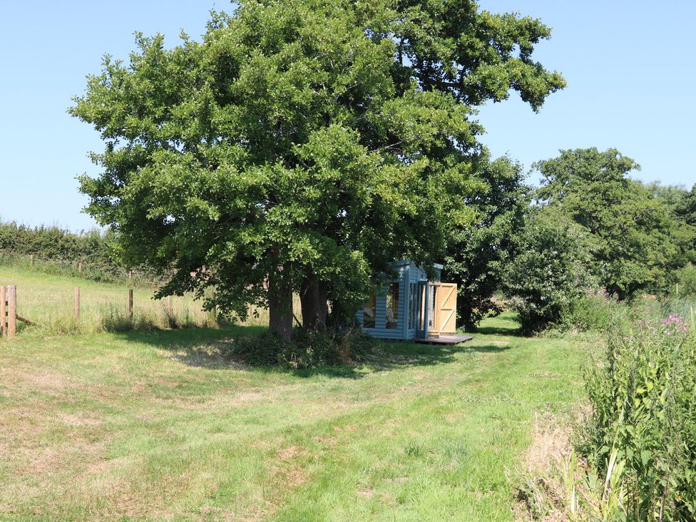 A shed near a tree in a grassy area at Lake View Cottage in Audley Brow near Market Drayton