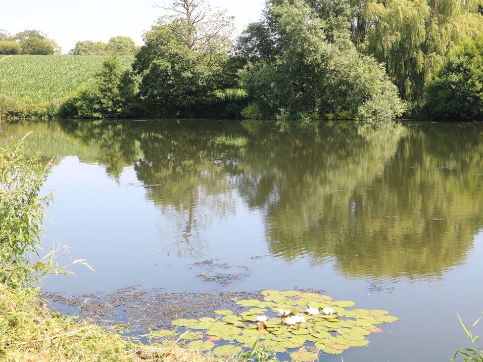 A pond with lily pads and trees at Lake View Cottage Audley Brow near Market Drayton