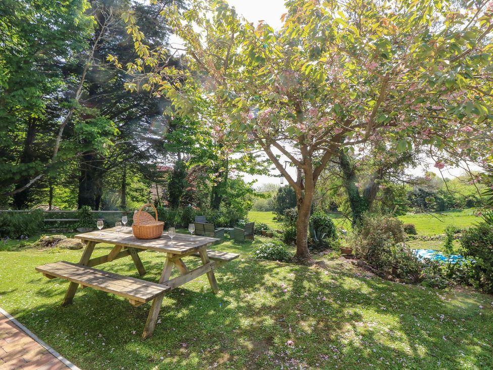 Lisle Combe Cottage - Isle of Wight & Hampshire - 926281 - thumbnail photo 45
