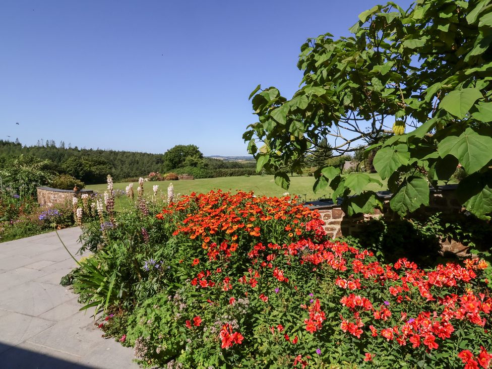 Pound Cottage - Devon - 926887 - thumbnail photo 15