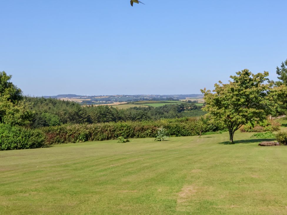 A garden with grass and trees at Pound Cottage in Huntshaw near Great Torrington