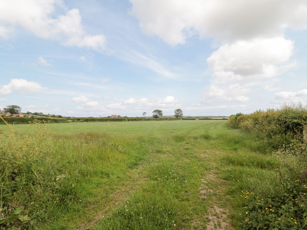 Fairhaven Cottage - North Yorkshire (incl. Whitby) - 929095 - thumbnail photo 26
