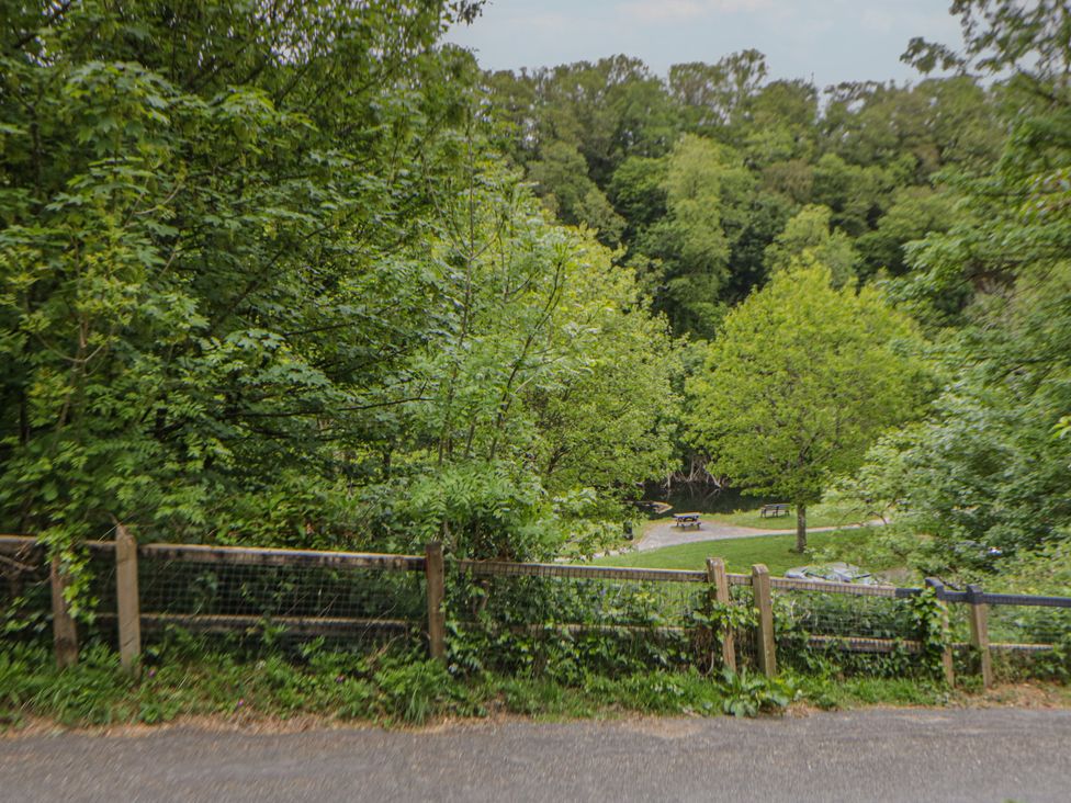 A view of trees and picnic tables with a gravel path at Teifi House in Cilgerran near Cardigan