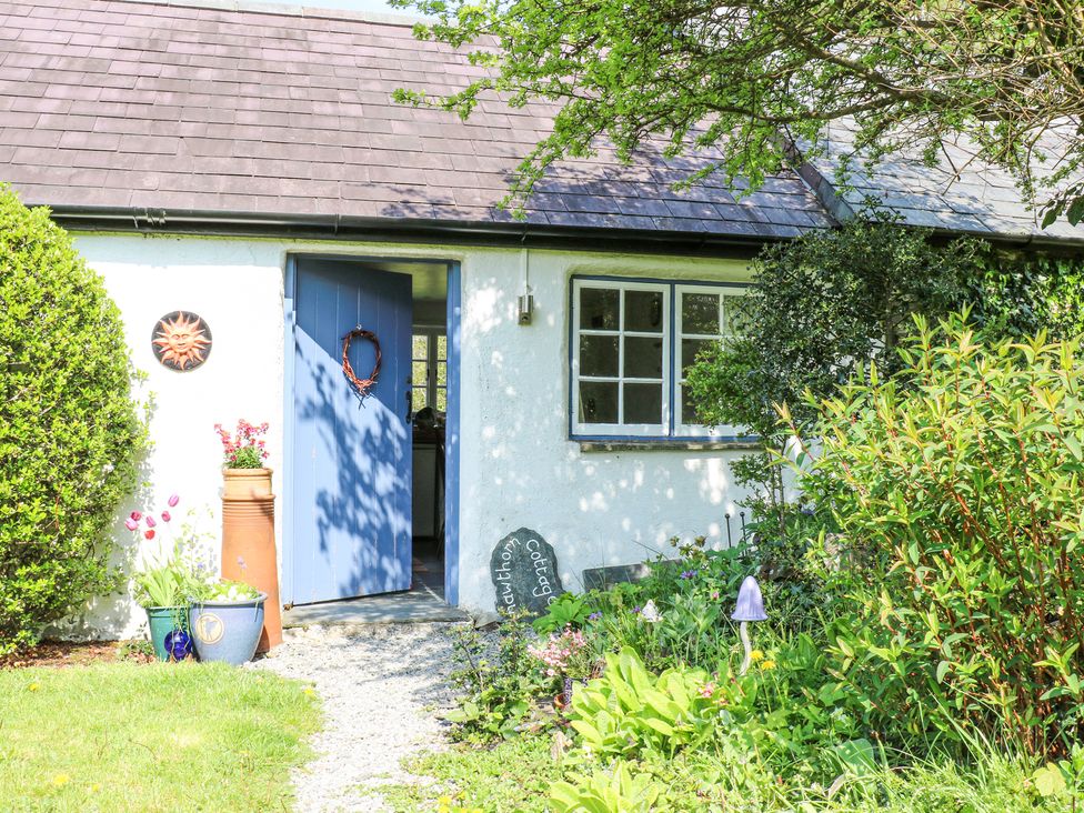 Hawthorn Cottage - South Wales - 930004 - thumbnail photo 35