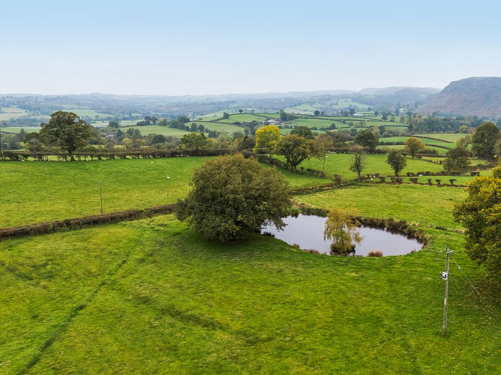A field with a pond and trees at Ty Newydd in Llangadfan