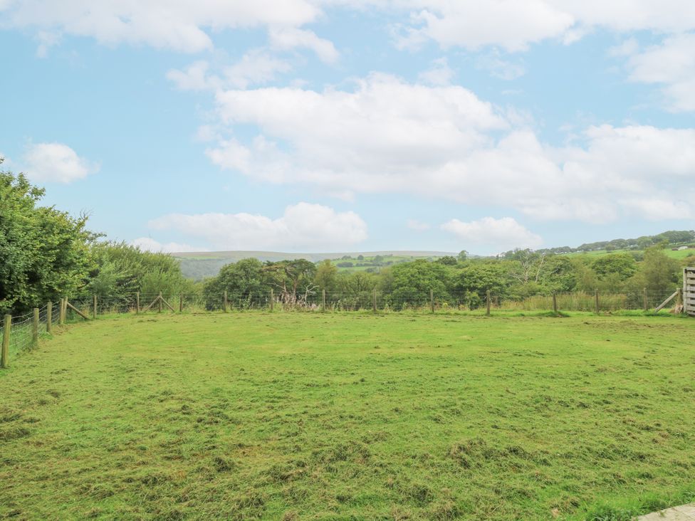 A garden with grass and trees at The Cabin in Pontardawe