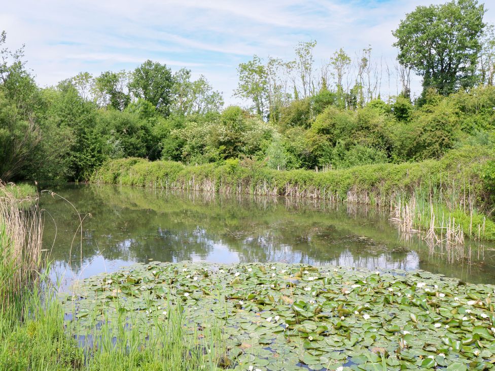 A pond with lilypads surrounded by trees at Dragonfly Lodge Whinburgh near Dereham