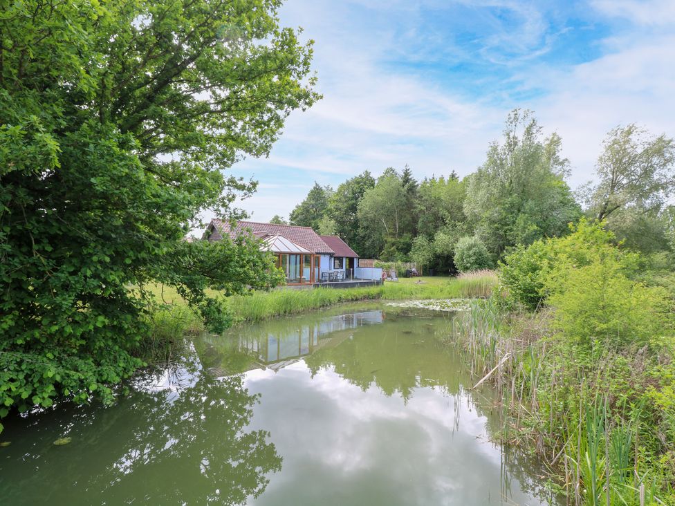 A house near a pond surrounded by trees at Dragonfly Lodge Whinburgh near Dereham